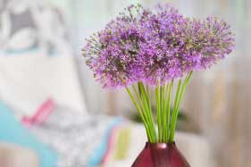 A vase of fresh purple flowers sitting on a table